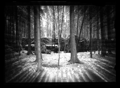 Druidenhain