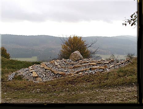 Zum Kunst-Pfad auf der Neubrg (Hyperlink)